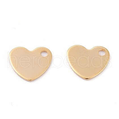 201 Stainless Steel Charms STAS-B001-24G-1