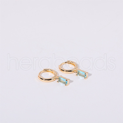 Brass Micro Pave Cubic Zirconia Hoop Earrings WGF8540-03-1