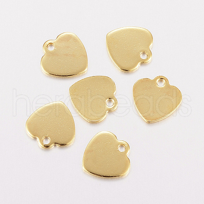 201 Stainless Steel Charms STAS-F162-20G-1