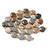Natural Picture Jasper Beads Strands G-G271-C04-10mm-3