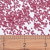 MIYUKI Delica Beads SEED-X0054-DB0362-3