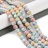 Natural Rainbow Alashan Agate Lantern Beads Strands G-NH0022-B01-01-2