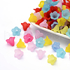 Frosted Acrylic Beads PL692-1