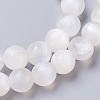 Natural Selenite Beads Strands G-I203-C-6mm-2