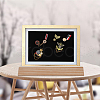 Wood Brooch Storage Holder ODIS-WH0038-129-6
