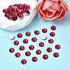 Preciosa® MAXIMA Crystal No Hotfix Flatback Stones Y-PRC-NSS12-90110-2