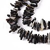 Natural Black Lip Shell Beads Strands SSHEL-N040-17-3