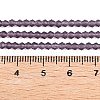 Imitate Austrian Crystal Frosted Glass Beads Strands EGLA-A039-T2mm-MD04-5