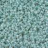 TOHO Round Seed Beads X-SEED-TR08-0915-2