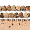 Natural Picture Jasper Beads Strands G-D316-B12-4