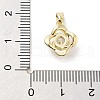 Brass Micro Pave Clear Cubic Zirconia Pendants ZIRC-L104-006G-3