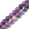 Natural Lepidolite/Purple Mica Stone Beads Strands G-C179-A38-03-2