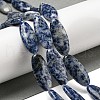 Natural Blue Spot Jasper Beads Strands G-B078-E07-01-2