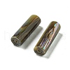 Natural Paua Shell Beads BSHE-G039-06-2