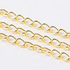 Iron Side Twisted Chain X-CH-DK0.7-G-FF-1