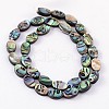 Natural Abalone Shell/Paua Shell Beads Strands SSHEL-G003-8-6x10mm-2
