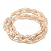 Electroplated Opaque Glass Beads Strands X-EGLA-L015-FR-B25-01-3