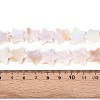 Natural Freshwater Shell Beads Strands SSHEL-N040-18-4