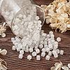 Transparent Acrylic Enamel Beads TACR-TA0001-14-4