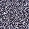 MIYUKI Delica Beads X-SEED-J020-DB1789-3