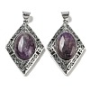 Natural Amethyst Big Pendants G-Z050-08B-1