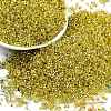 Baking Paint Silver Lined Glass Seed Beads SEED-H003-09E-1