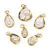 Natural White Shell Pendants SHEL-S278-075-2
