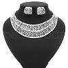 Rose Pattern Alloy Crystal Rhinestone Pendant Necklaces & Hoop Earrings Sets FS-WGA3BB3-02-1