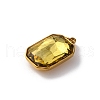 316 Stainless Steel Faceted Glass Pendants STAS-K258-48G-05-2