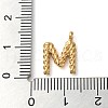 316 Surgical Stainless Steel Pendants & Charms STAS-D031-01M-3