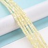 Natural Trochus Shell Beads Strands SSHEL-H070-02F-2