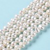 Natural Cultured Freshwater Pearl Beads Strands PEAR-E018-10-2