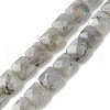 Natural Labradorite Beads Strands G-K359-B17-01-1