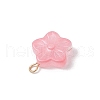 Glass Charms PALLOY-JF03421-5