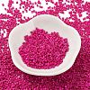 Baking Paint Glass Seed Beads X-SEED-S042-05B-69-2