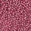 TOHO Round Seed Beads SEED-XTR08-0959-2