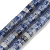 Natural Blue Spot Jasper Beads Strands G-C084-D09-01-1