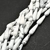 Natural Howlite Beads Strands G-E576-35-2