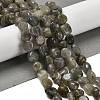 Natural Labradorite Beads Strands G-P497-01E-47-2