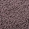MIYUKI Round Rocailles Beads SEED-X0055-RR0410-3