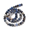 Natural Sodalite Beads Strands GSR6mmC013-1-5