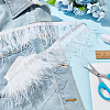 AHADERMAKER 2 Yards Fashion Ostrich Feather Cloth Strand Costume Accessories FIND-GA0003-68A-4