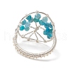 Natural Apatite Beads with Solid Round Brass Beads and Eco-Friendly Copper Wire Rings RJEW-TA00183-04-4