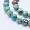 Natural Aqua Terra Jasper Beads Strands G-E444-14A-12mm-3