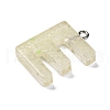 Luminous Resin Pendants RESI-I059-E02-4