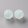 Transparent Acrylic Beads TACR-S152-07C-SS2111-2