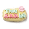 Opaque Resin Cabochons RESI-K026-01D-1