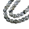 Natural Labradorite Beads Strands X-G-S354-24-A-2