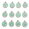Alloy Enamel Pendants ENAM-S124-01B-15-1