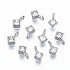 925 Sterling Silver Cubic Zirconia Charms STER-ZX003-02P-NF-1